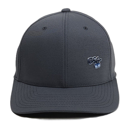 BSG Flexfit hat Logo - Gray